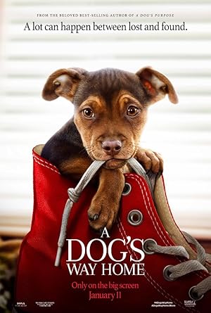 ดูซีรี่ย์ A Dogs Way Home (2019)