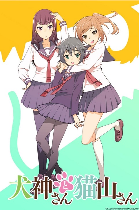 Card image cap