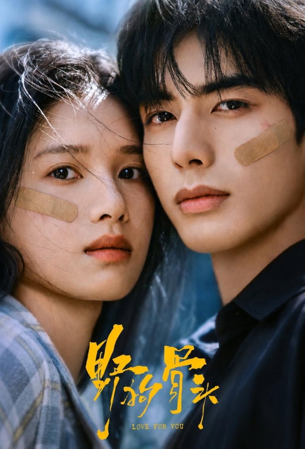 ดูซีรี่ย์ ซีรี่ย์จีน Love for You (2026) รักสำหรับคุณ ซับไทย