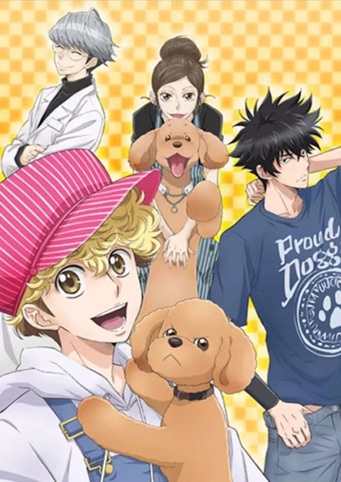 Card image cap