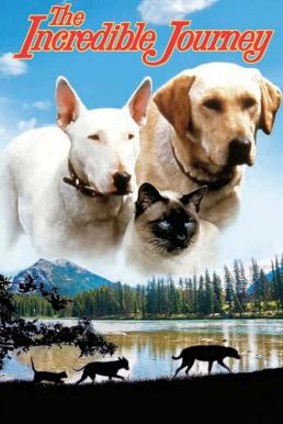 ดูซีรี่ย์ The Incredible Journey (1963) บรรยายไทยแปล