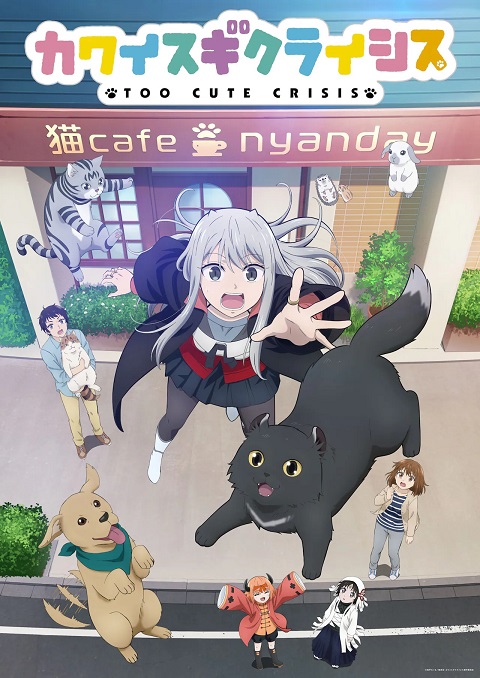 Card image cap
