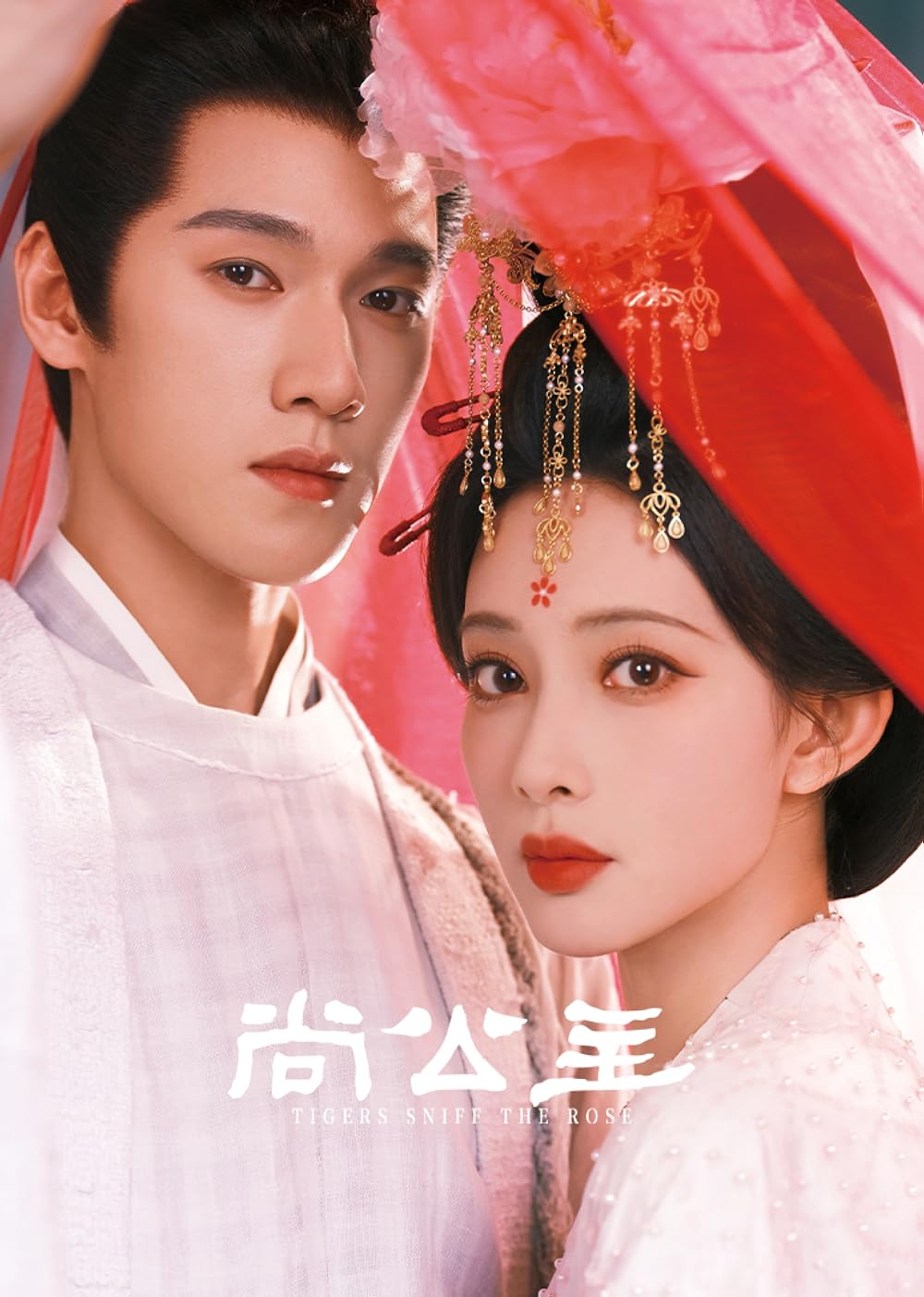 ดูซีรี่ย์ ซีรี่ย์จีน Tigers Sniff the Rose (2026) พยัคฆ์หลงกลิ่นบุปผา ซับไทย