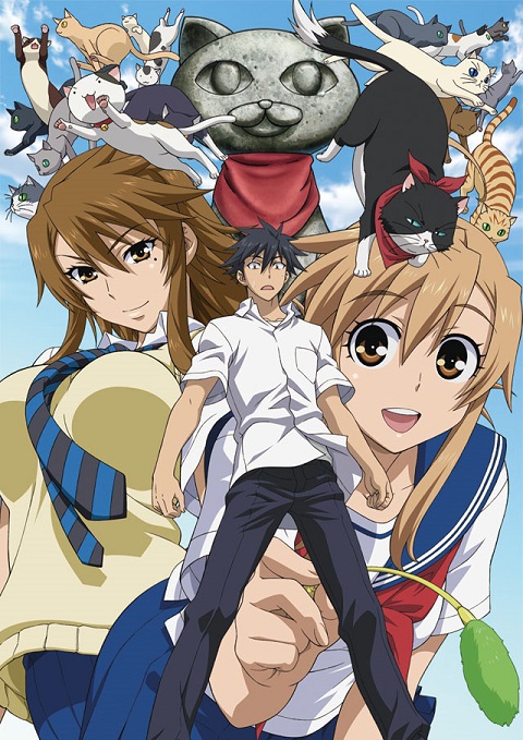 Card image cap